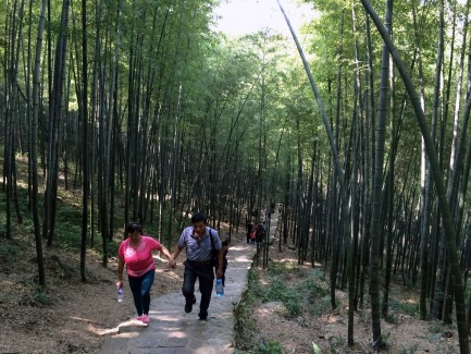 宜興竹海一日游